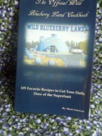 Downeast Blueberry Candle (Large)
